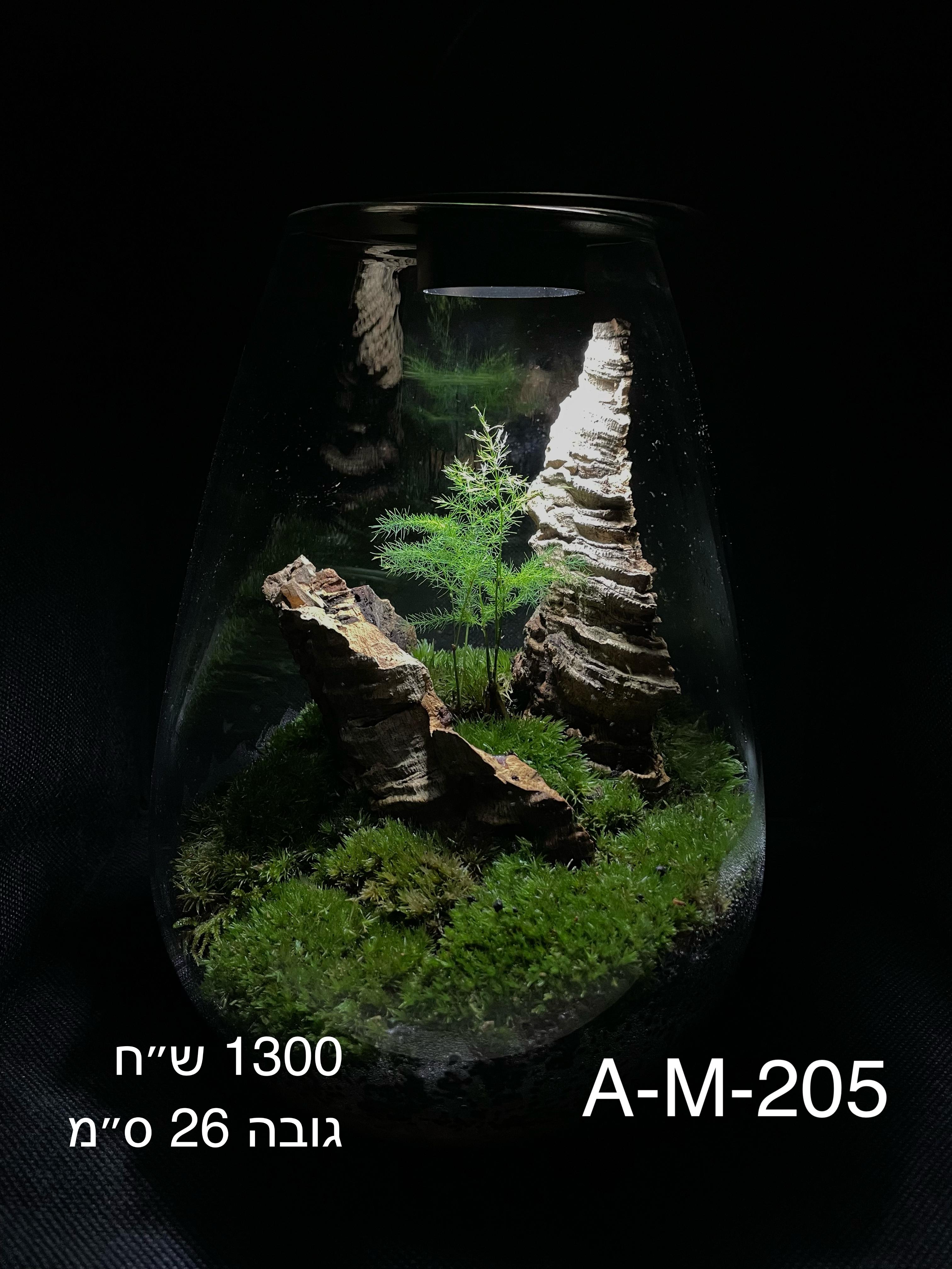 Terrarium Image Showcase