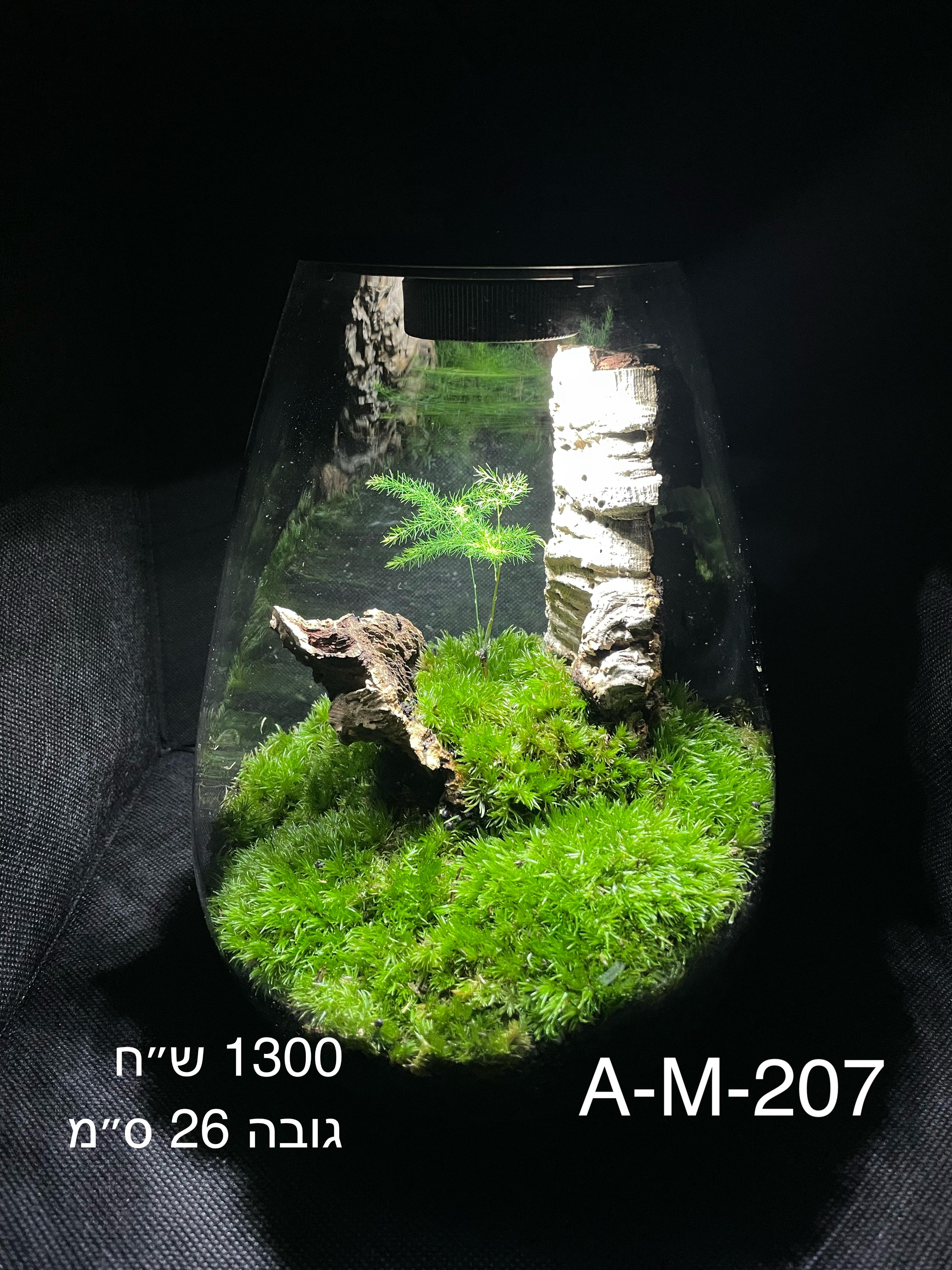 Terrarium Image Showcase