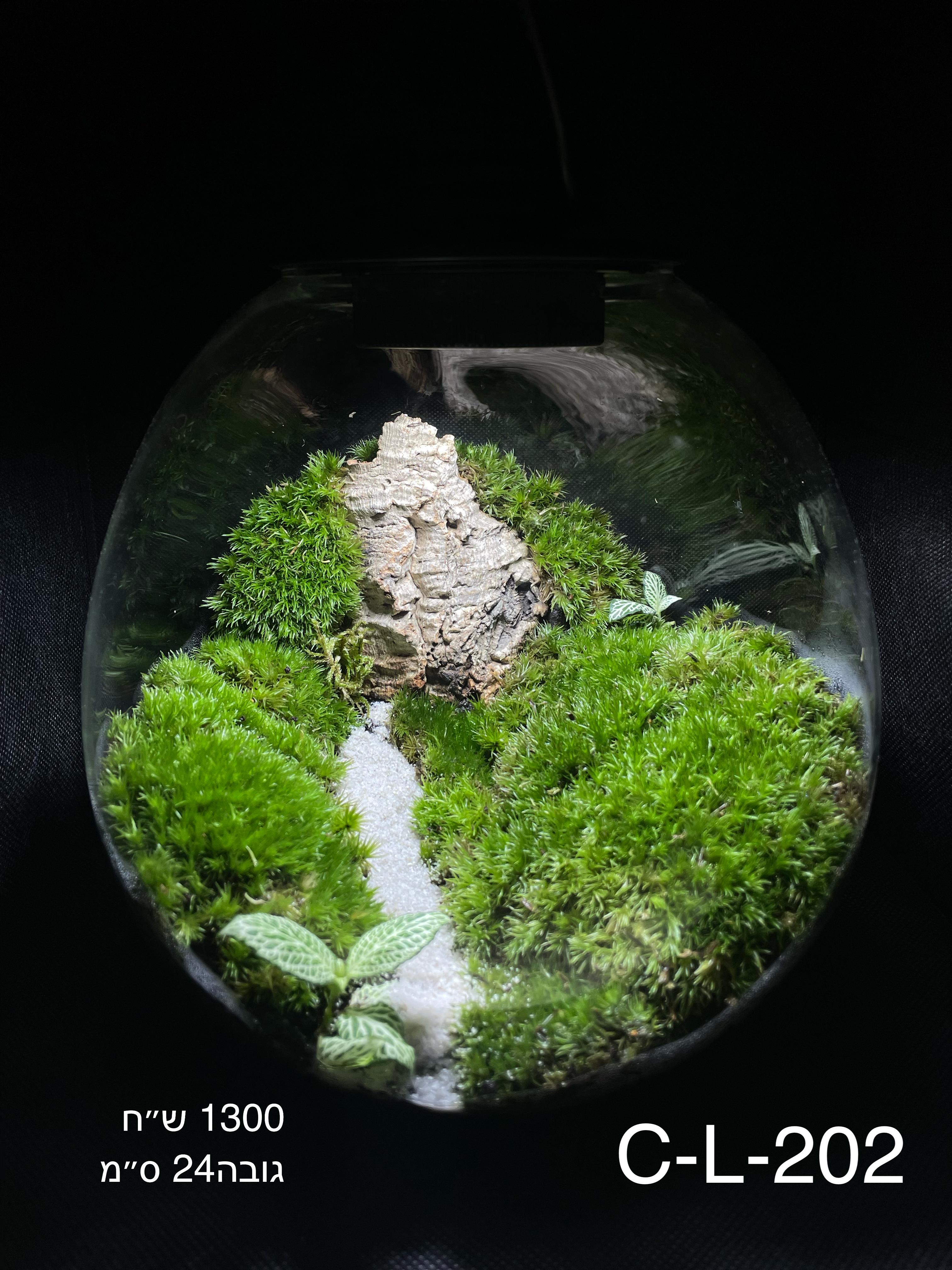 Terrarium Image Showcase