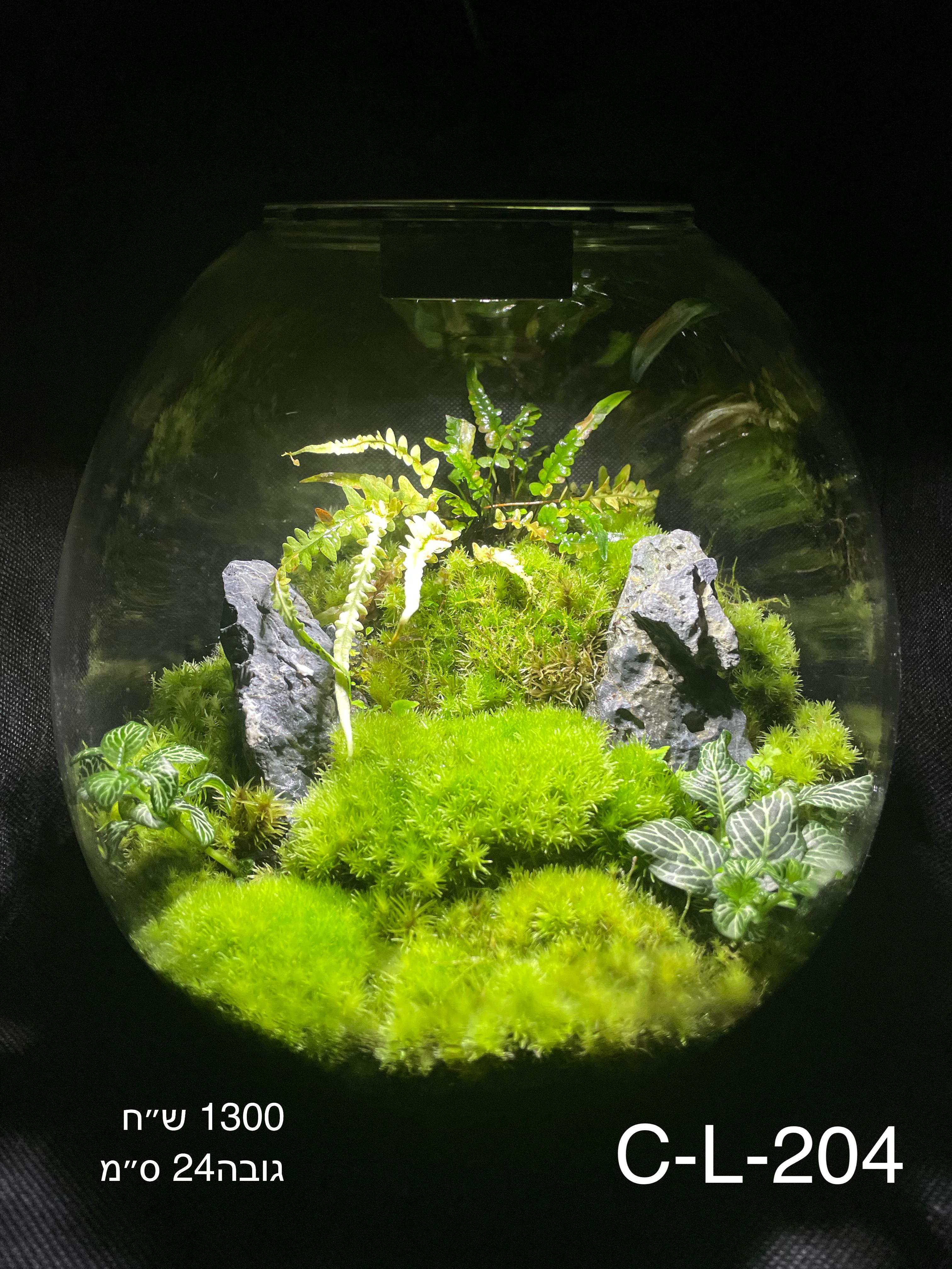 Terrarium Image Showcase