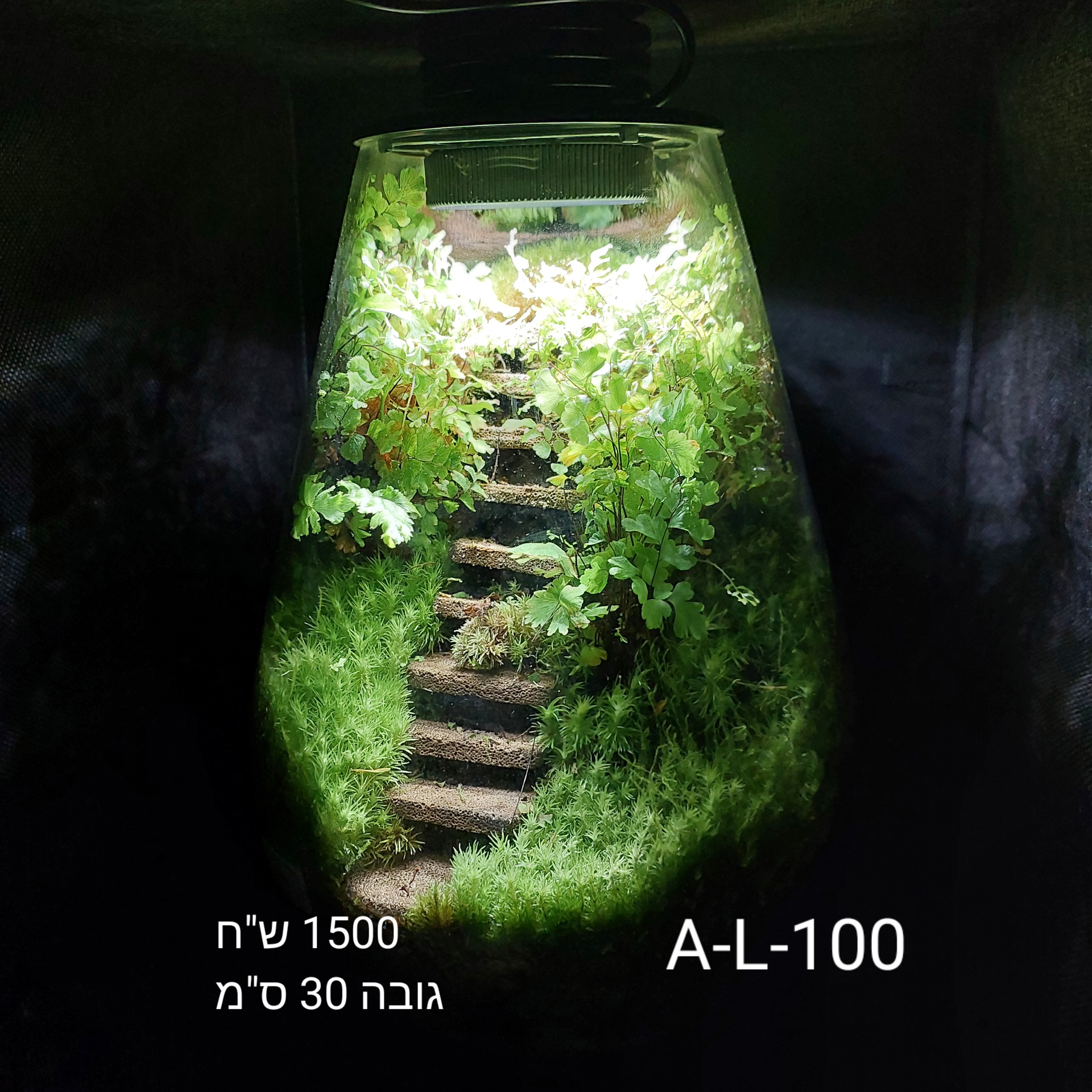 Terrarium Image Showcase