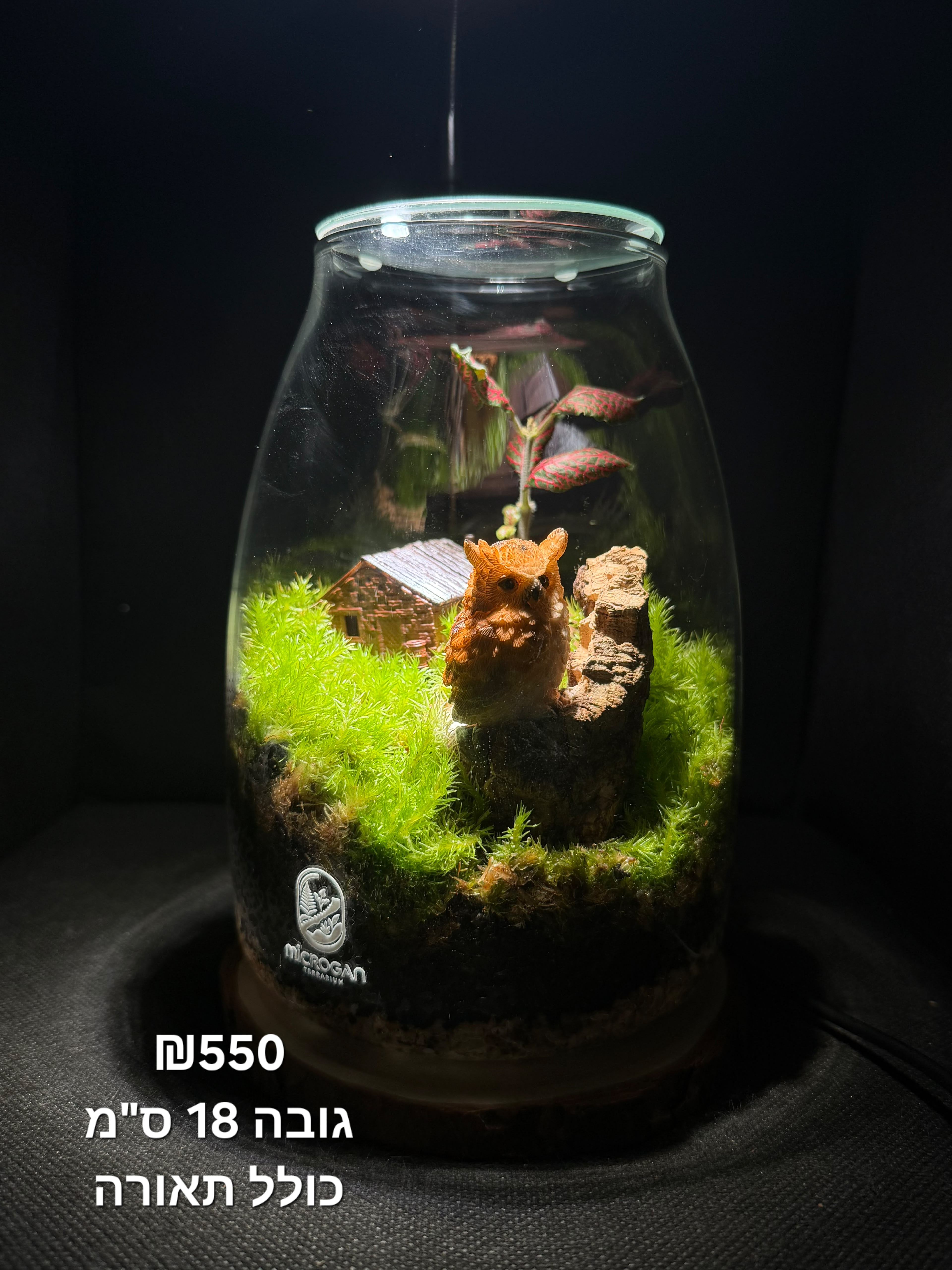 Terrarium Image Showcase