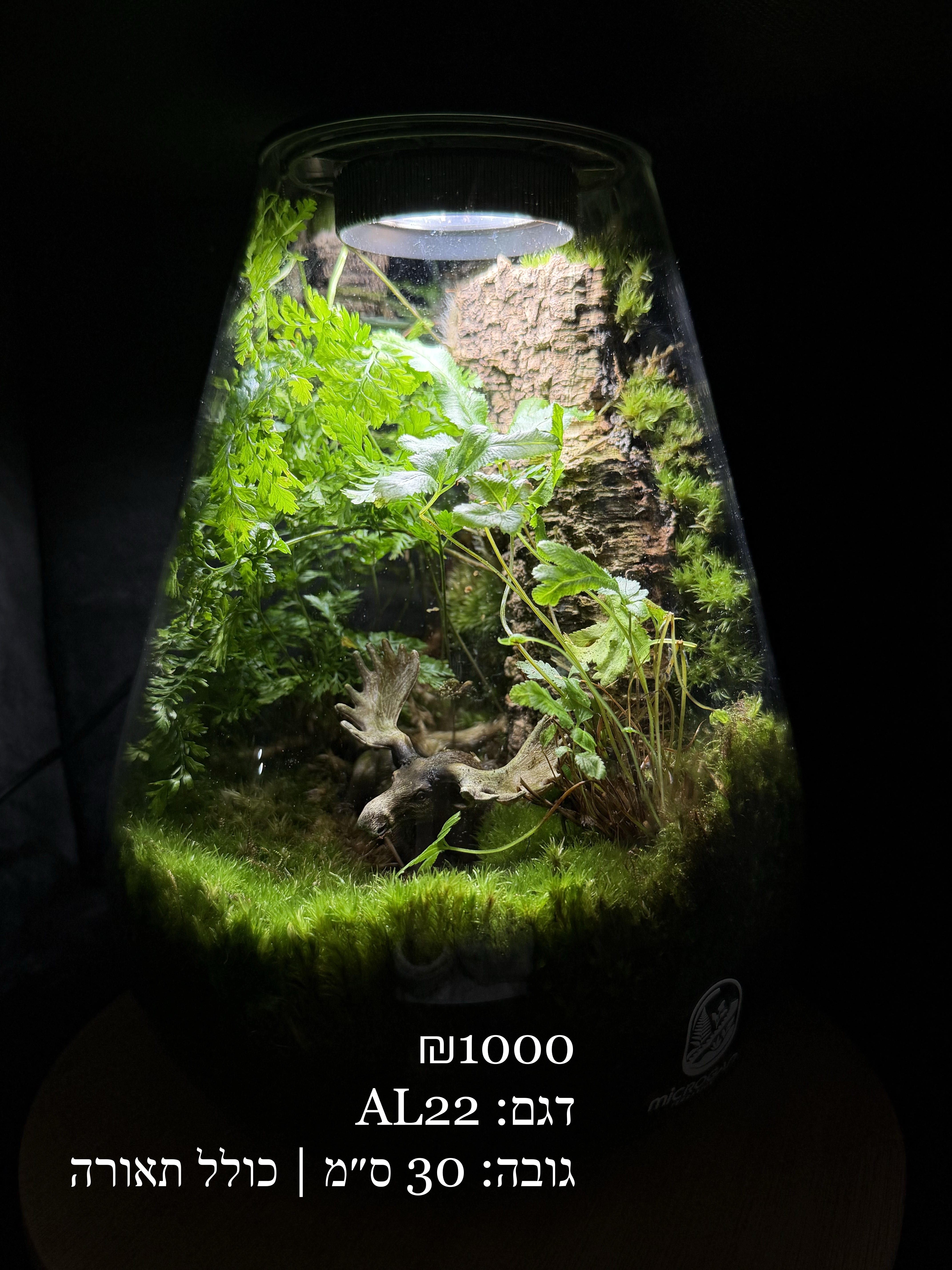 Terrarium Image Showcase