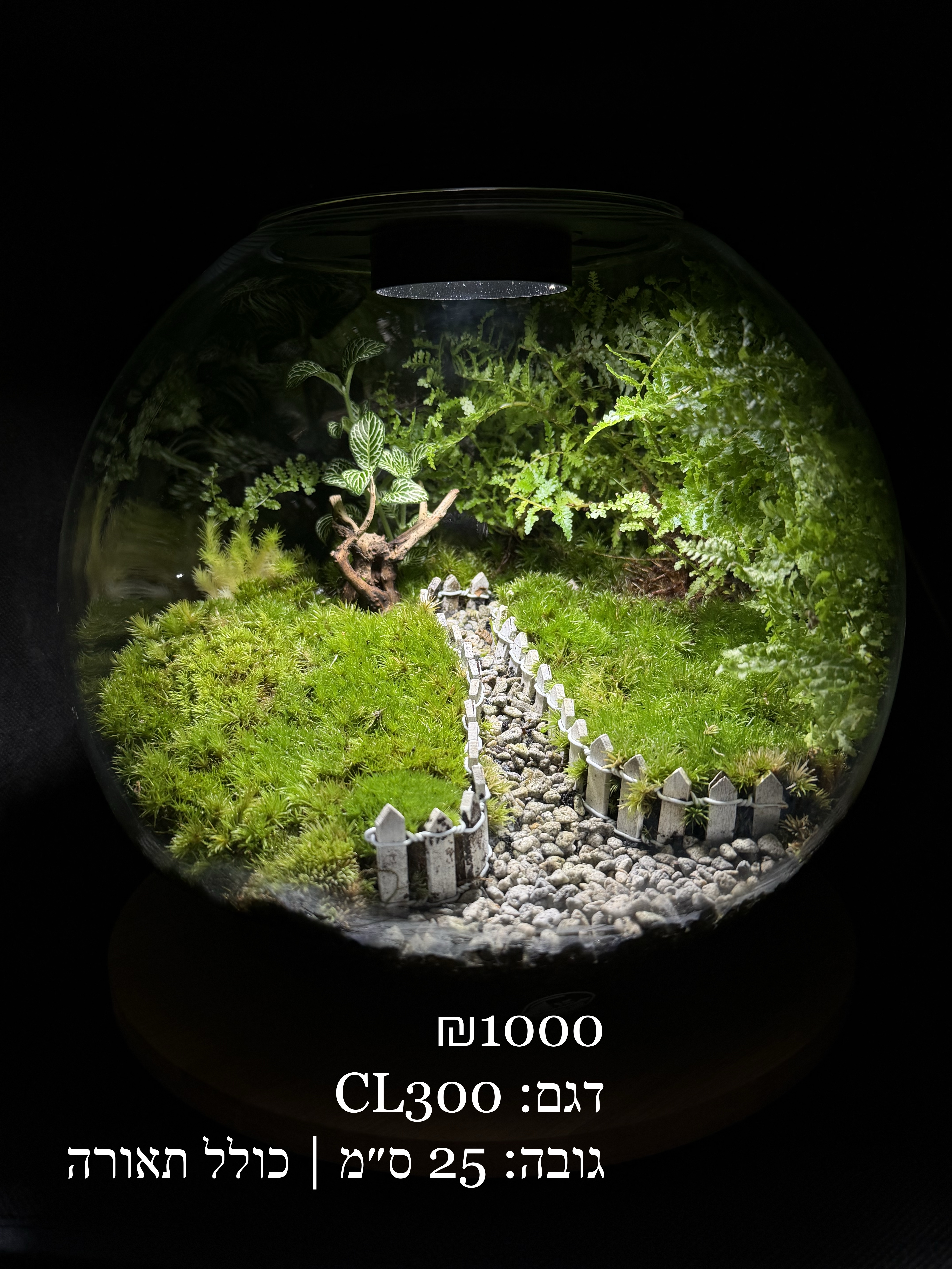 Terrarium Image Showcase