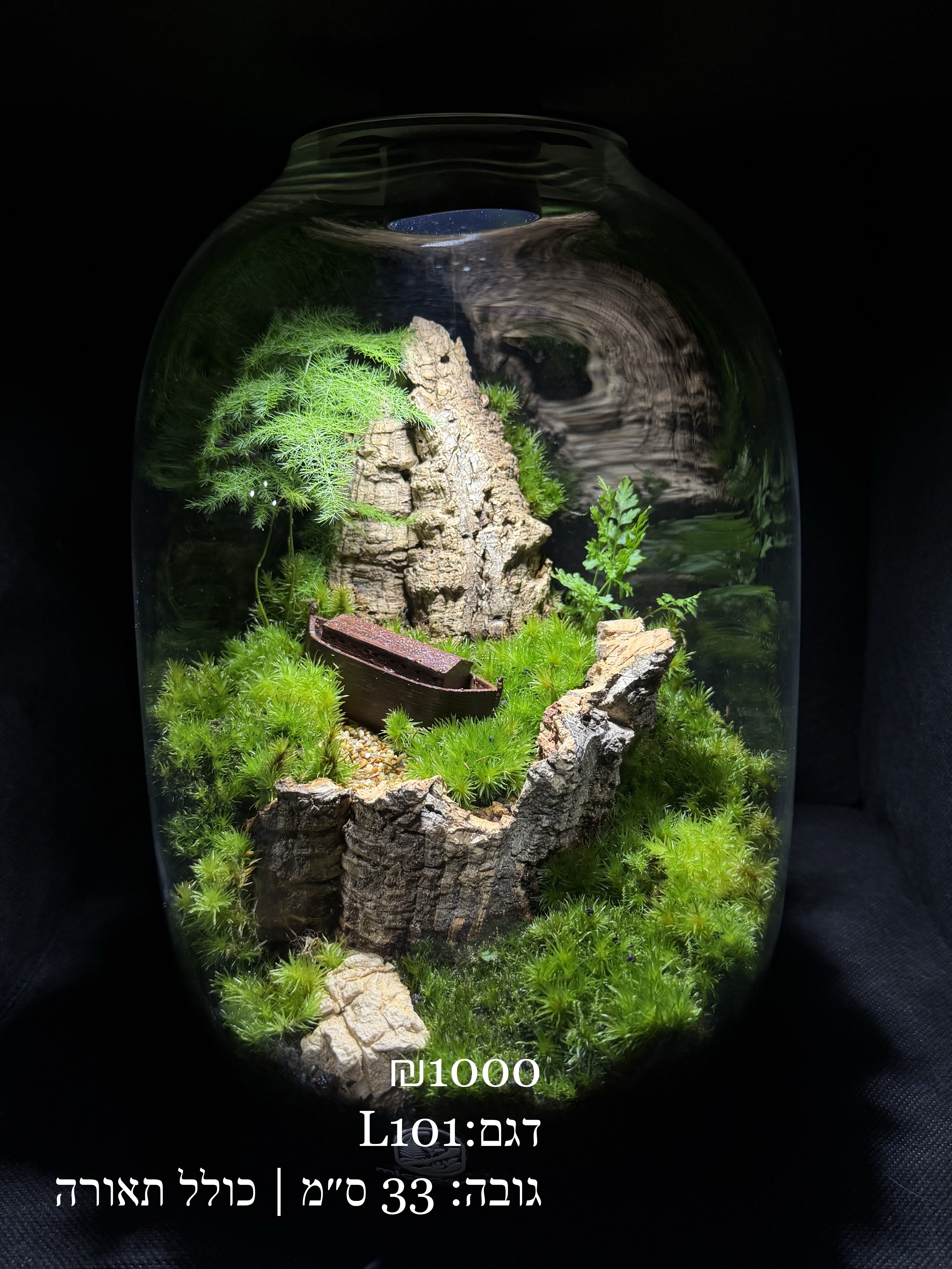 Terrarium Image Showcase