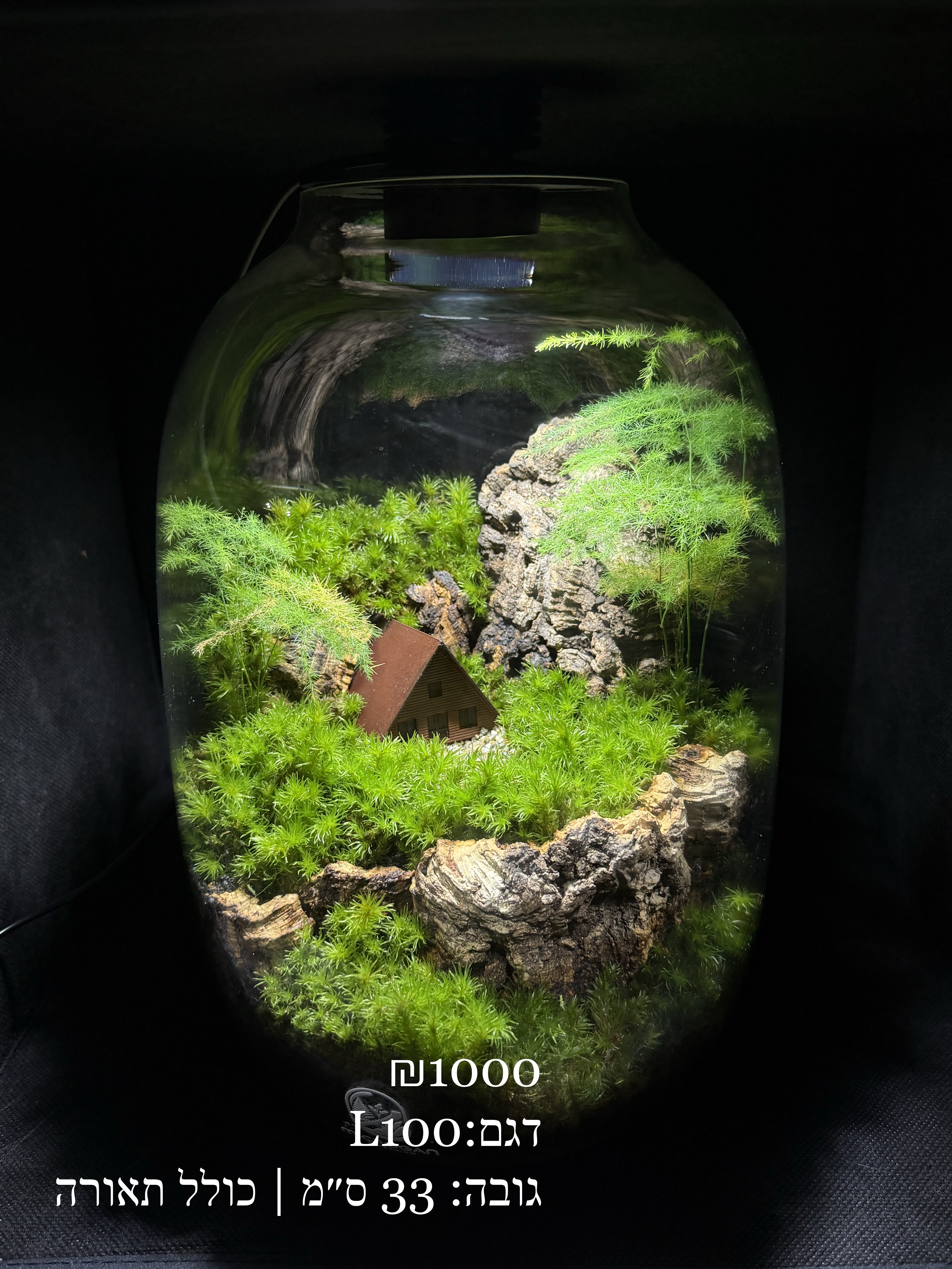 Terrarium Image Showcase